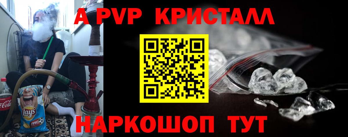 Альфа ПВП СК КРИС Североморск