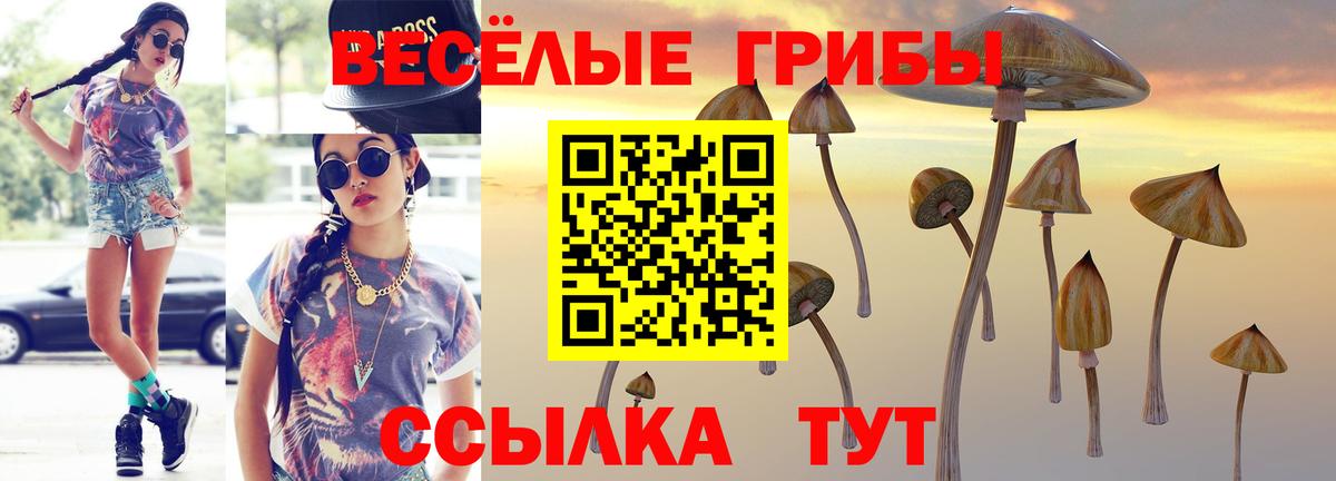 Псилоцибиновые грибы Psilocybine cubensis  Галлюциногенные грибы Psilocybine cubensis  Вход с VPN  Североморск 